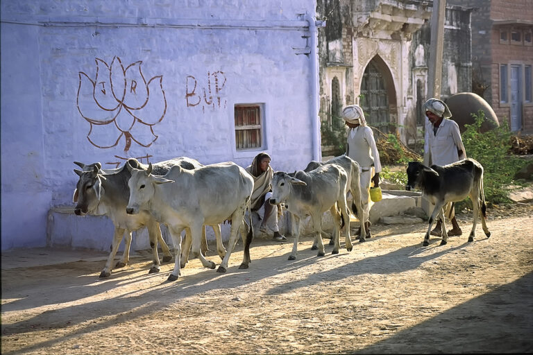 Aerts Jozef - 06.-AERTS-Jozef-Belgium-Early-in-the-morning